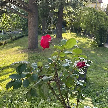 In Bb - Casa T